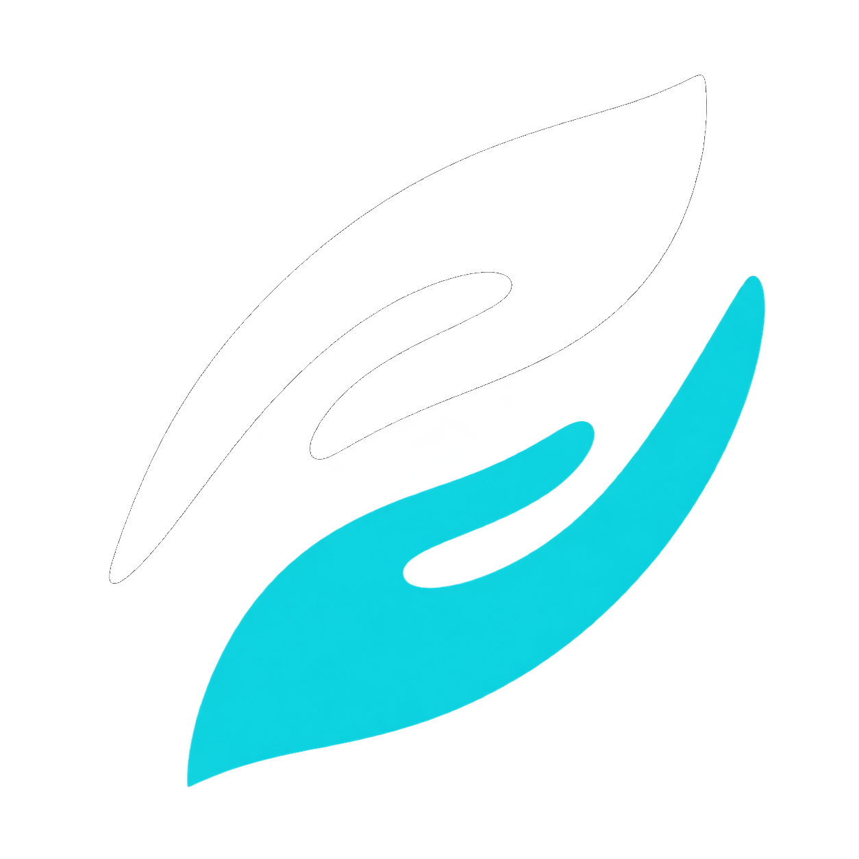 DPhysio